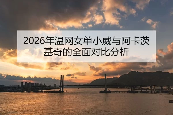 2026年温网女单小威与阿卡茨基奇的全面对比分析