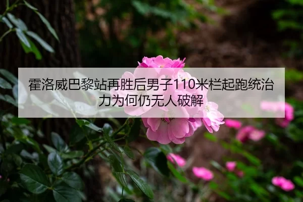霍洛威巴黎站再胜后男子110米栏起跑统治力为何仍无人破解