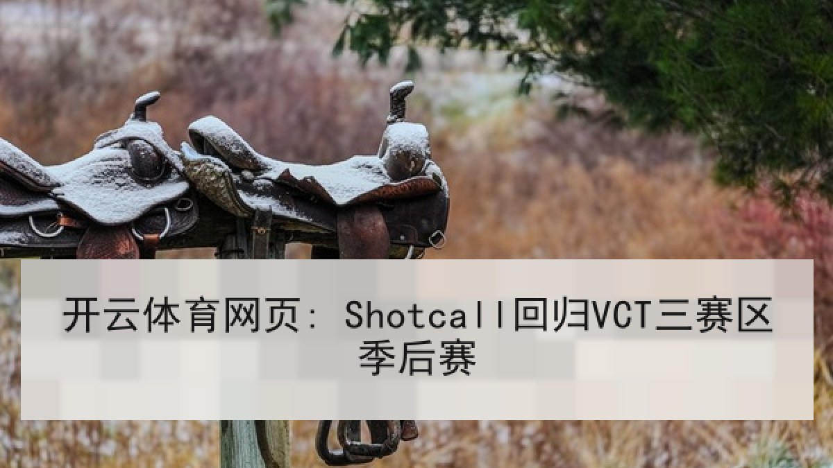 开云体育网页: Shotcall回归VCT三赛区季后赛