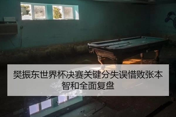 樊振东世界杯决赛关键分失误惜败张本智和全面复盘