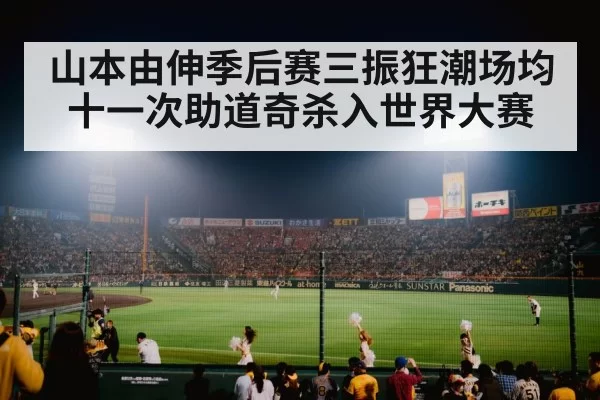 baseball stadium night game