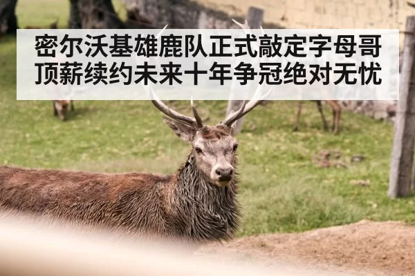 密尔沃基雄鹿队正式敲定字母哥顶薪续约未来十年争冠绝对无忧