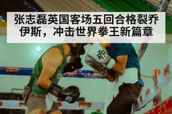 Zhang Zhilei boxing